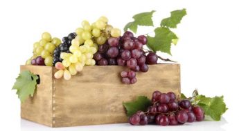 domowe kosmetyki z winogron